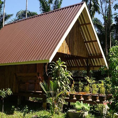 Khao Sok Jungle Resort Khao Sok National Park Camera foto