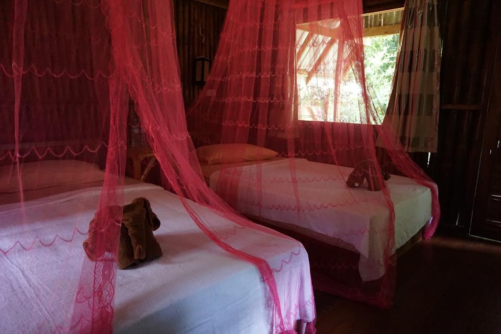 Khao Sok Jungle Resort Khao Sok National Park Camera foto