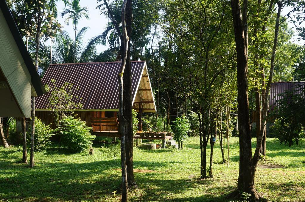 Khao Sok Jungle Resort Khao Sok National Park Camera foto