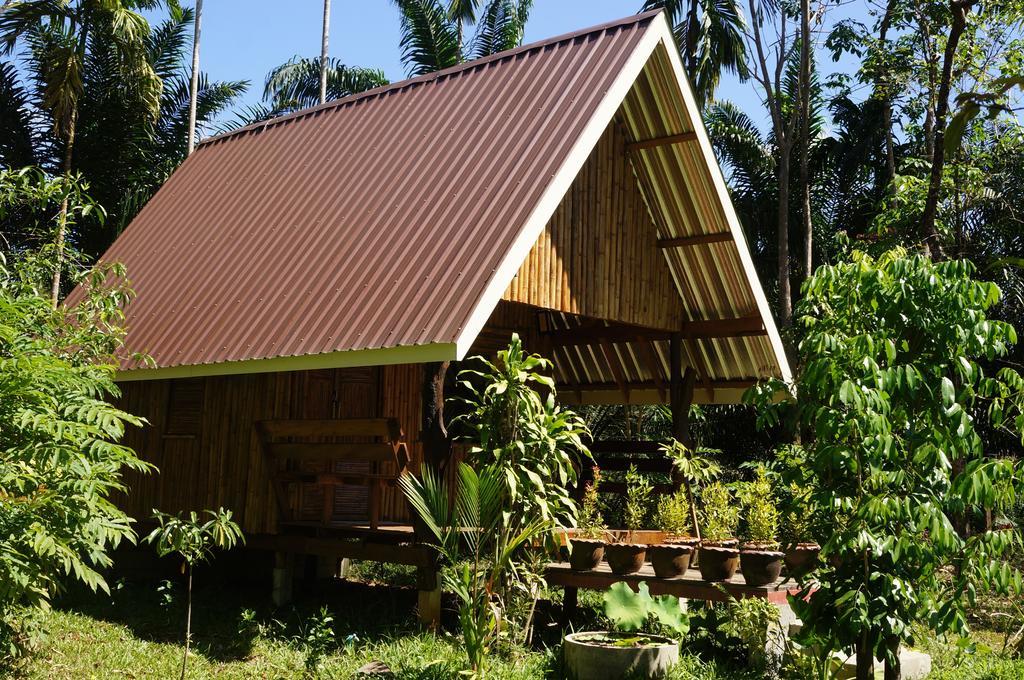Khao Sok Jungle Resort Khao Sok National Park Camera foto