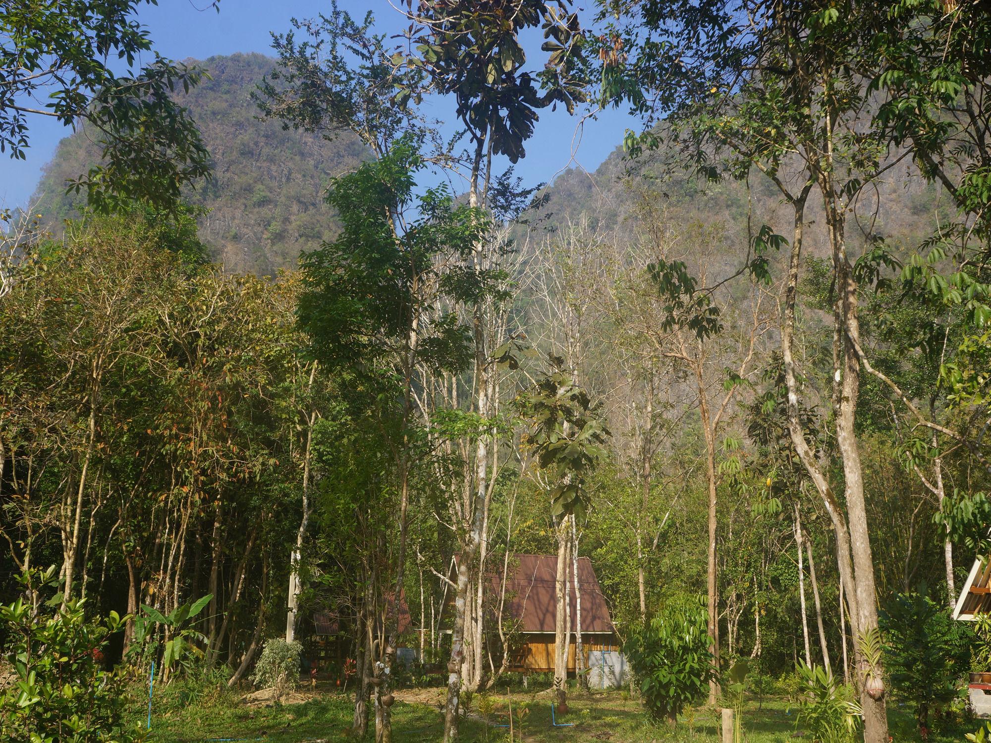 Khao Sok Jungle Resort Khao Sok National Park Esterno foto