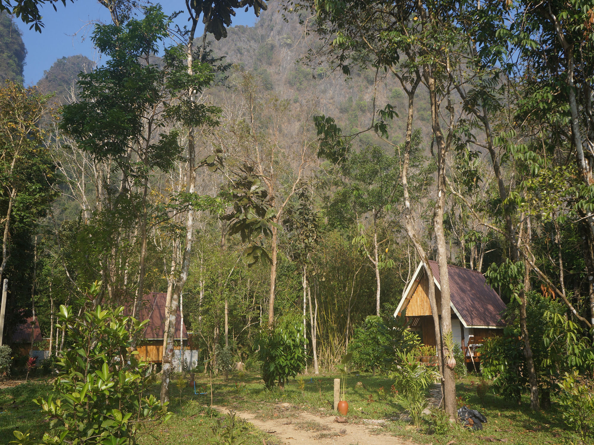 Khao Sok Jungle Resort Khao Sok National Park Esterno foto