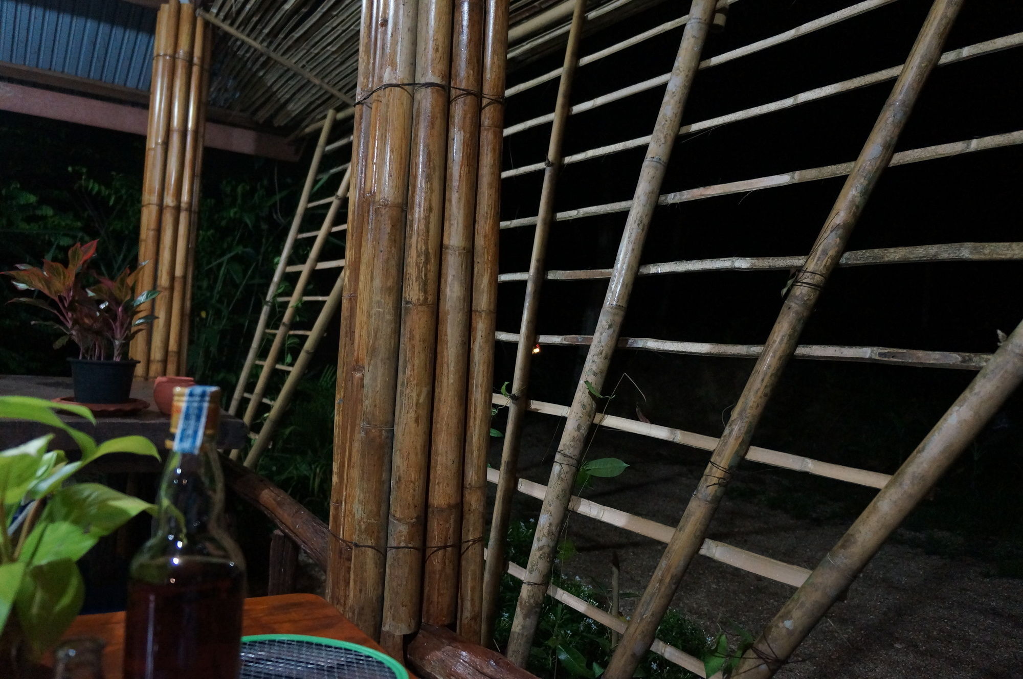 Khao Sok Jungle Resort Khao Sok National Park Esterno foto