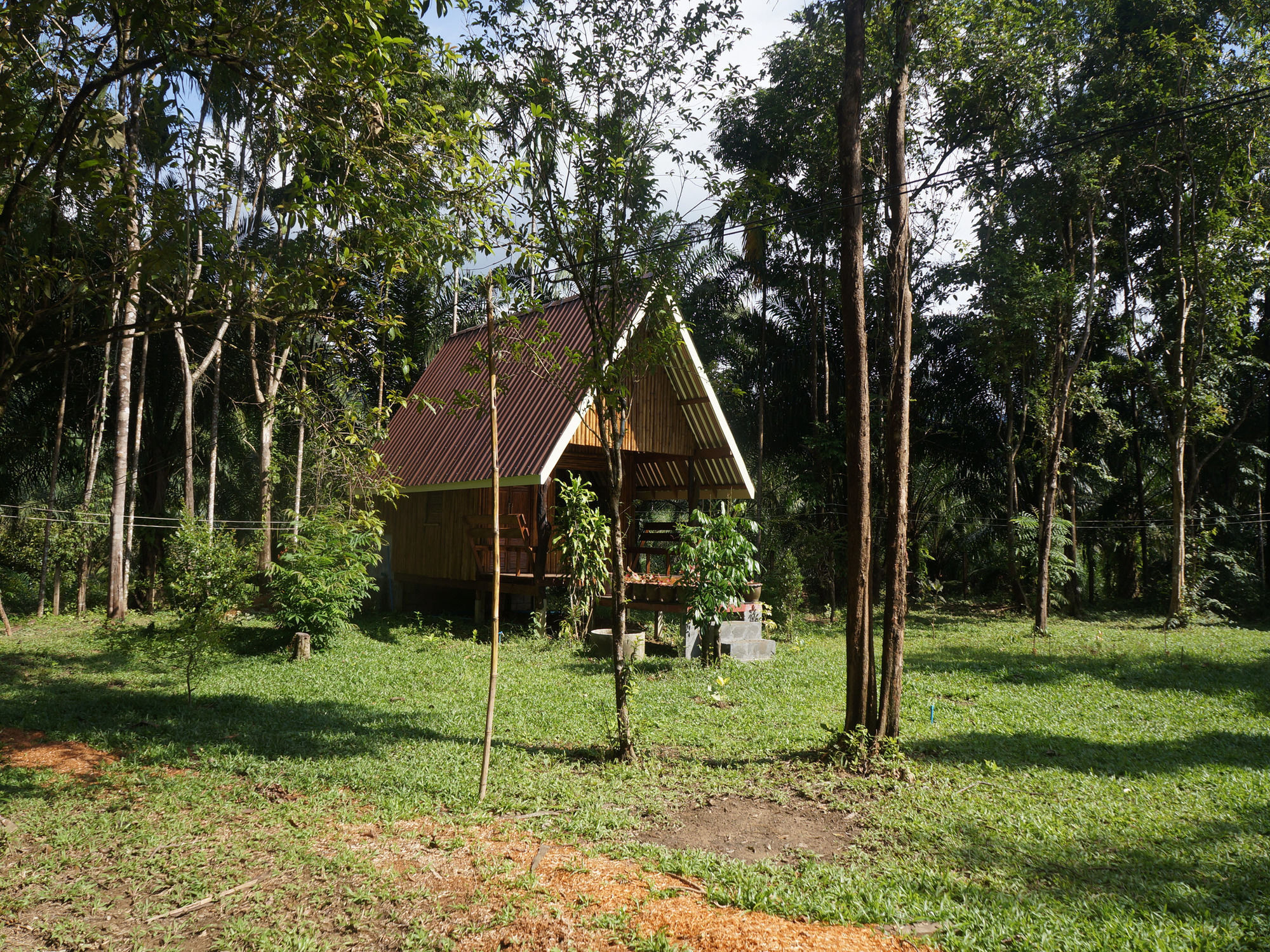 Khao Sok Jungle Resort Khao Sok National Park Esterno foto